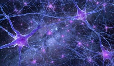 Interconnected Neurons Complex Network Brain Cells