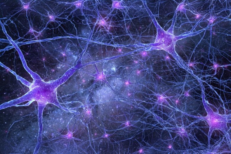 Interconnected Neurons Complex Network Brain Cells