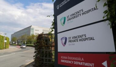 Public-only consultants at St Vincent’s claimed for lab work done for private patients – The Irish Times