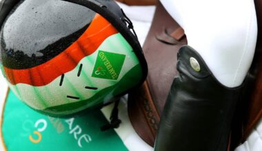 Staff at Horse Sport Ireland briefed on potential job cuts as interim examiner is appointed – The Irish Times