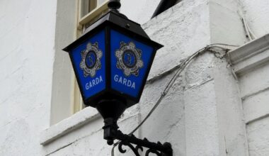 Man (20s) critical after violent disorder incident in south Dublin – The Irish Times