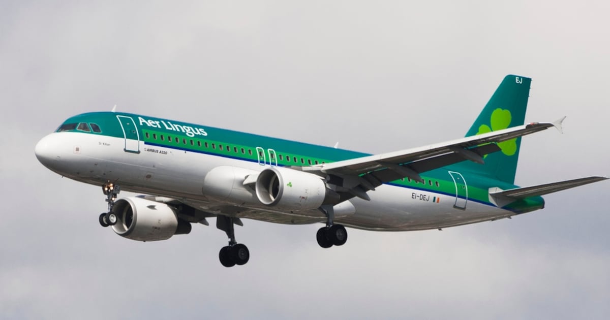 New twist in Aer Lingus redundancy plan, and Hollywood and AI – The Irish Times