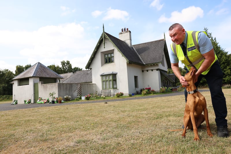 Park ranger Terry Moore with his dog Lucy in the Phoenix Park, Dublin. Photograph: Dara Mac Dónaill/The Irish Times












