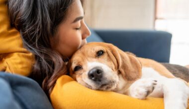 Having a dog protects your mental health