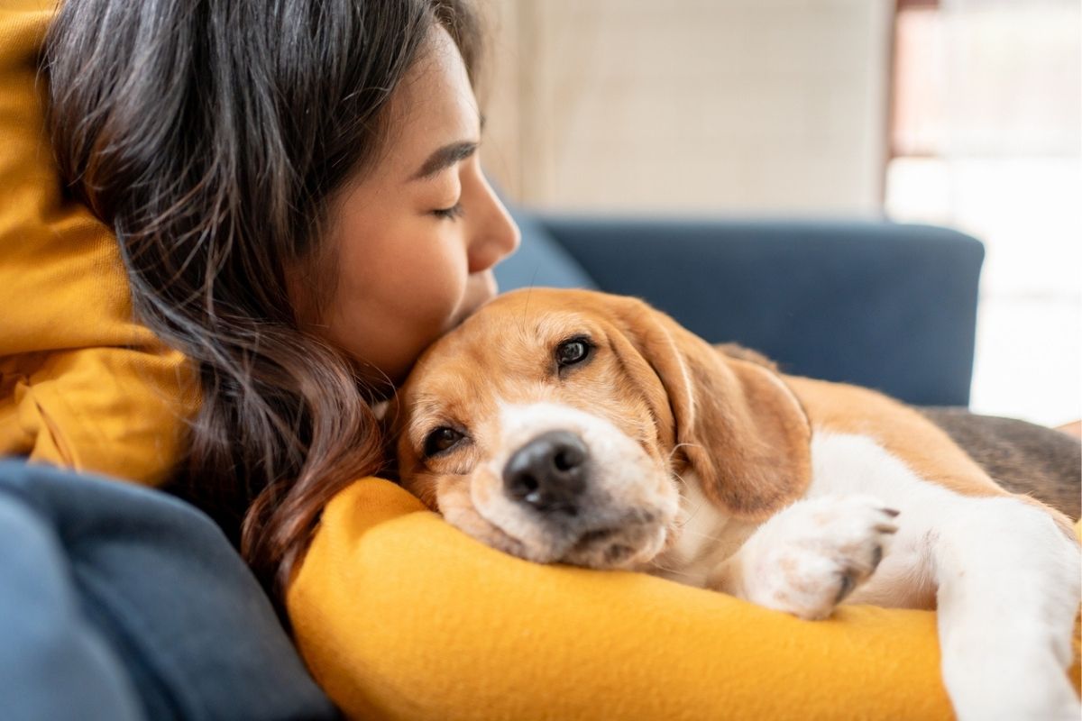 Having a dog protects your mental health