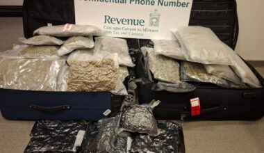 More than €950,000 of crystal meth and cannabis seized at Dublin Airport – The Irish Times