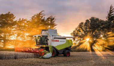 Ireland needs an agriculture policy. Instead it has an agri-food industry – The Irish Times