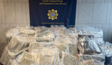 Drugs valued at €8.5m owned by man with ties to Kinahan cartel, gardaí believe – The Irish Times