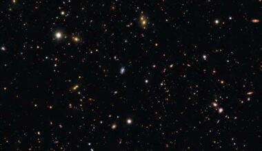 DECam image of the field around the progenitor to supernova SN 2