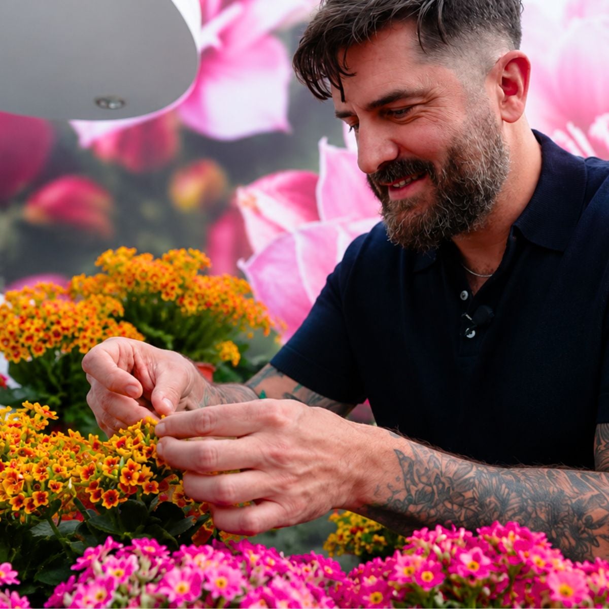 Mr Plant Geek with Kalanchoe from Slijkerman Kalachoe and Decorum