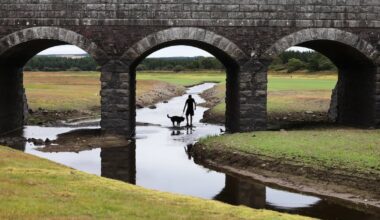 Hosepipe ban may be extended in Dublin and other counties amid ‘challenging’ conditions – The Irish Times
