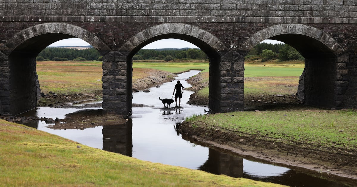 Hosepipe ban may be extended in Dublin and other counties amid ‘challenging’ conditions – The Irish Times