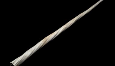Scientists Found a Second Spiral Inside the Narwhal’s Tusk