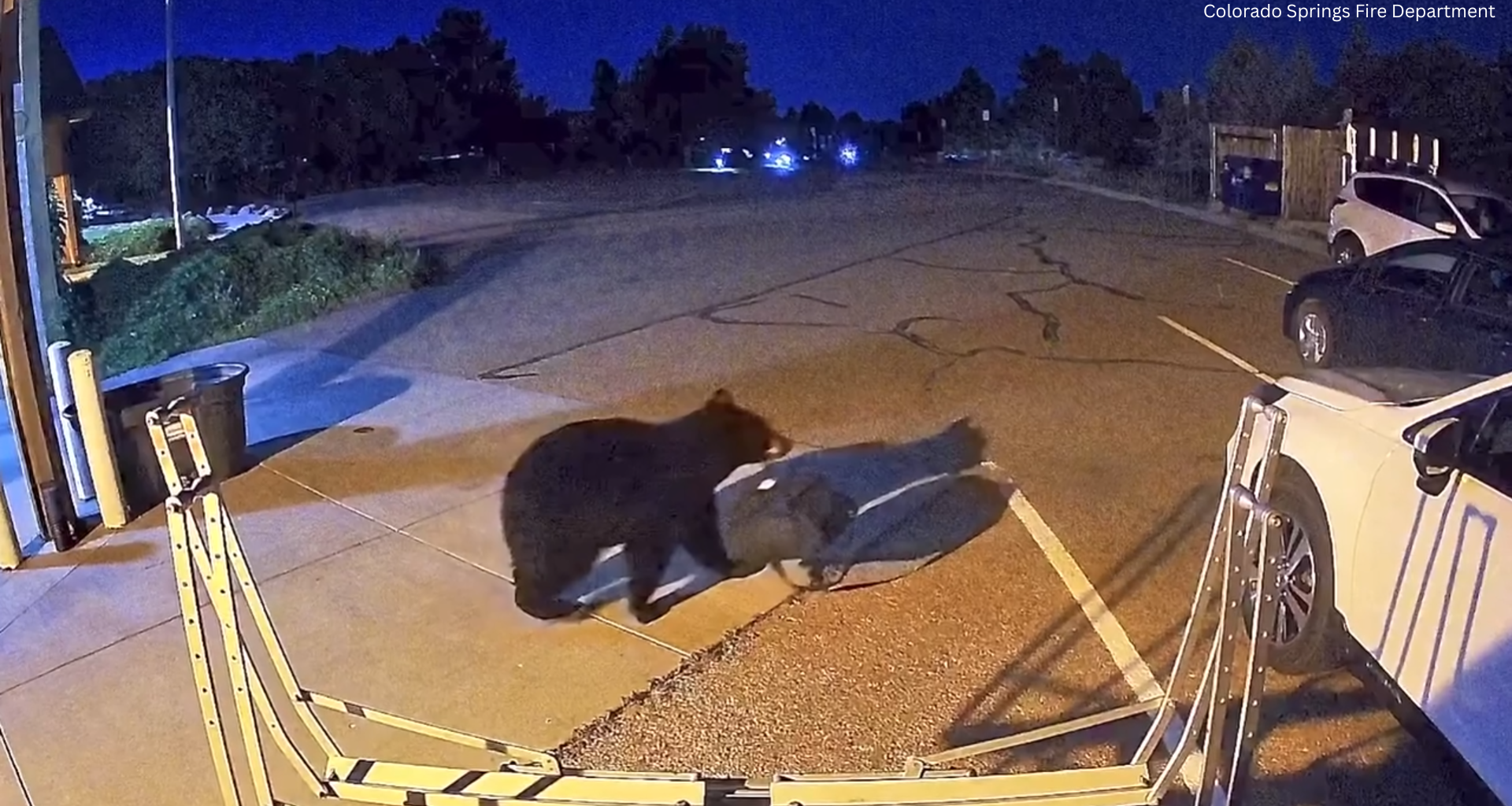 Bear walks into Colorado Springs Fire Department station, steals gear bag