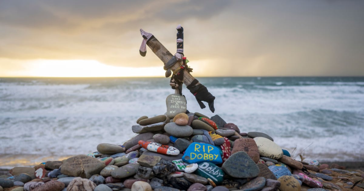 Harry Potter fans force relocation of UK-Ireland undersea cable to avoid Dobby’s ‘grave’ – The Irish Times