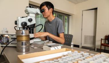 Ocean acidification drove a major extinction 113 million years ago