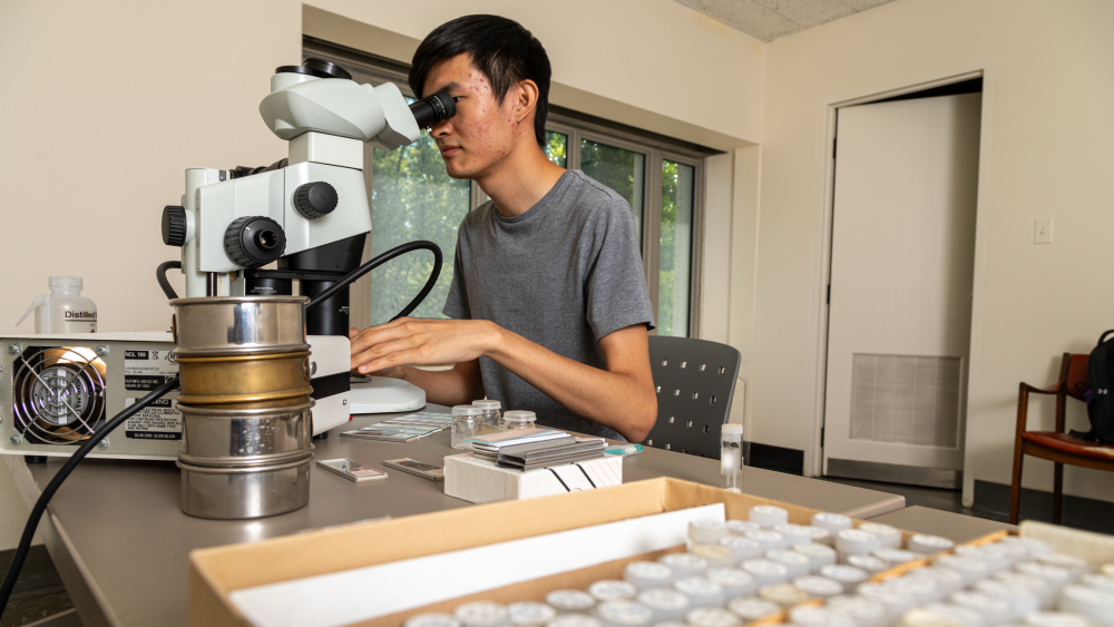 Ocean acidification drove a major extinction 113 million years ago