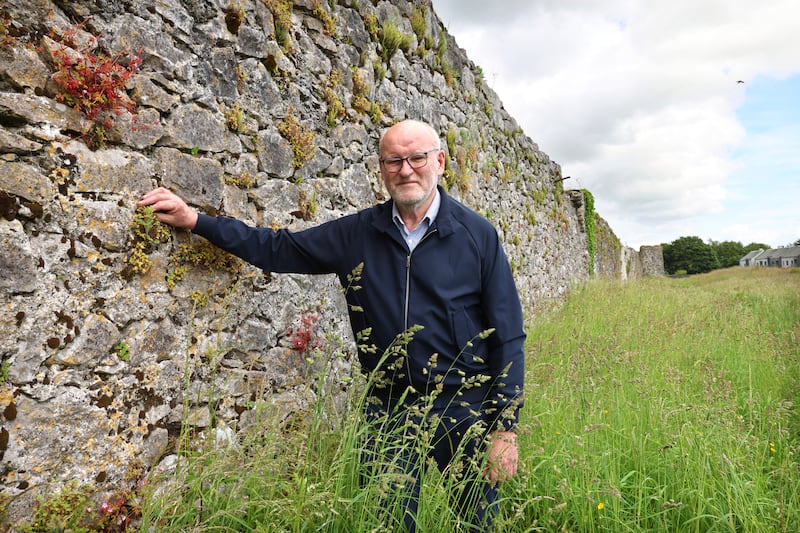 Gerry Burke beside the walls next to the GAA pitch in the Walled town of Athenry, Co Galway. Photograph: Dara Mac Dónaill
