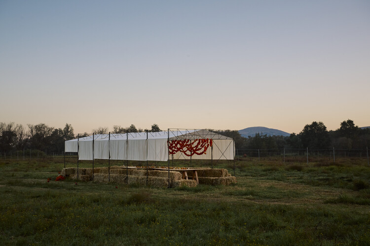 Cempasúchil Pavilion / COLAR Colectivo de Arquitectura - Image 1 of 18