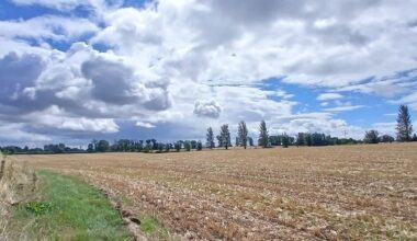 Solar farm big enough to power 25,000 homes planned for fields in north county Dublin