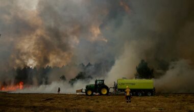 Irish ‘wine geese’ vineyards under threat in Bordeaux – The Irish Times