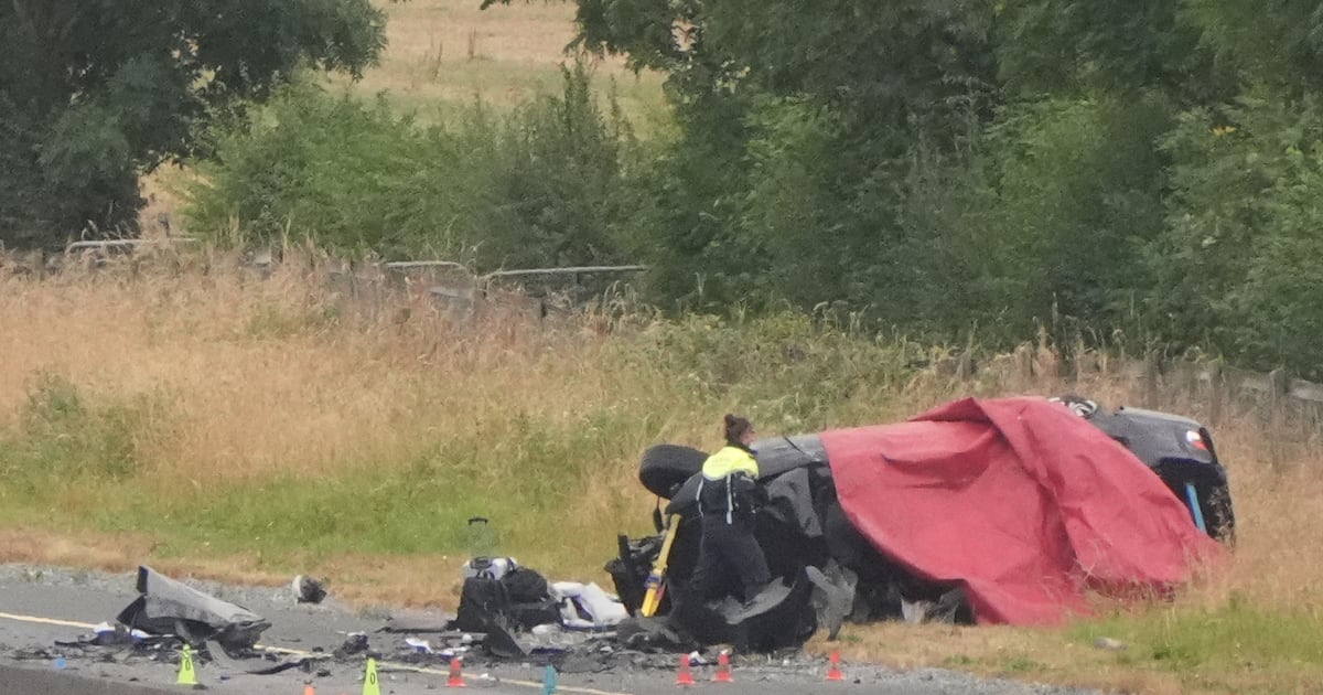 Five masked teenagers killed in M9 crash are suspected of local crime spree – The Irish Times