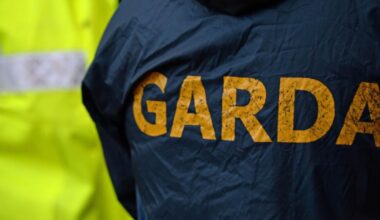 Woman’s body found in Dublin park – The Irish Times