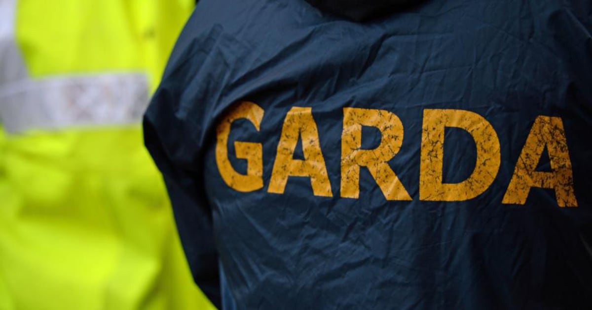Woman’s body found in Dublin park – The Irish Times