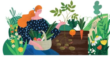 Drought is bad news for earthworms, but gardeners can help them out – The Irish Times