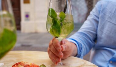 Hugo Spritz is the drink of the summer – here’s how to make one – The Irish Times