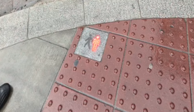 DCC installs traffic lights on ground for ‘zombie pedestrians’ on phones