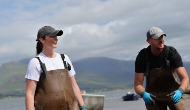 An oyster’s journey from sea to spoon in Ireland: ‘It’s far from umami we were reared’ – The Irish Times