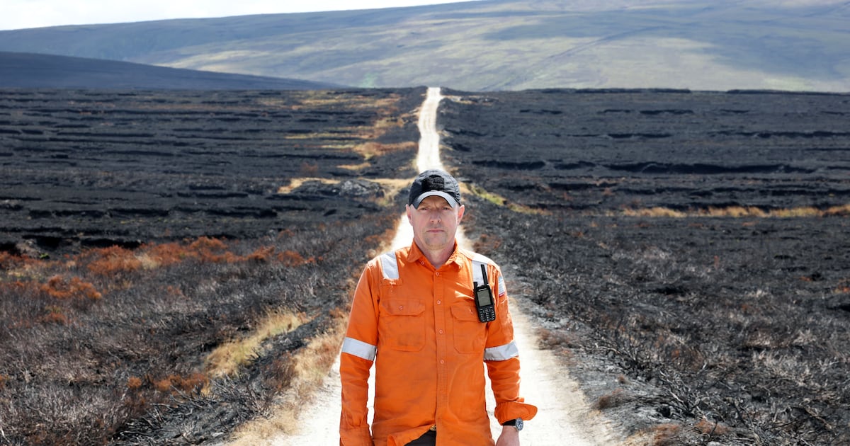 ‘What was a beautiful habitat now is black soot’: Ireland’s wildfires devastate wildlife – The Irish Times