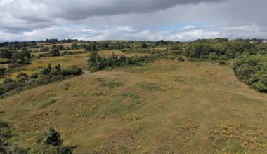 ‘This is not about stopping housing’: Why locals object to Dunsink town proposal – The Irish Times