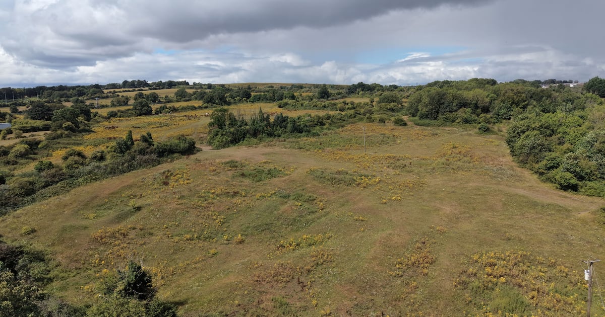 ‘This is not about stopping housing’: Why locals object to Dunsink town proposal – The Irish Times