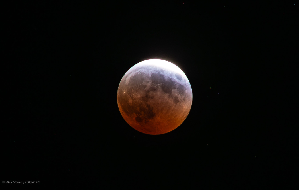 A fine view of the March 14th 2025 lunar eclipse. Credit: Marion Haligowski.
