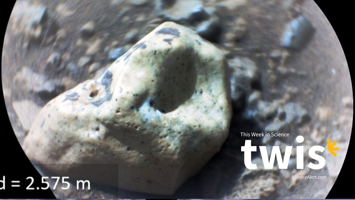 This Week in Science: AI Agents Come to an Agreement, Gemstones on Mars, And More! : ScienceAlert