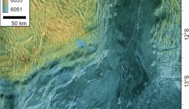 Cracks on Venus: View of terrain from above, with yellowish and purplish regions and long, winding cracks.