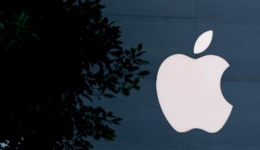 Apple’s $5tn moment shows investors are questioning the AI race – The Irish Times