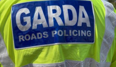 A man has died following this morning's crash in county Carlow