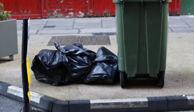 Dublin City Council official ‘sick of people’ saying capital ‘filthy’ – The Irish Times
