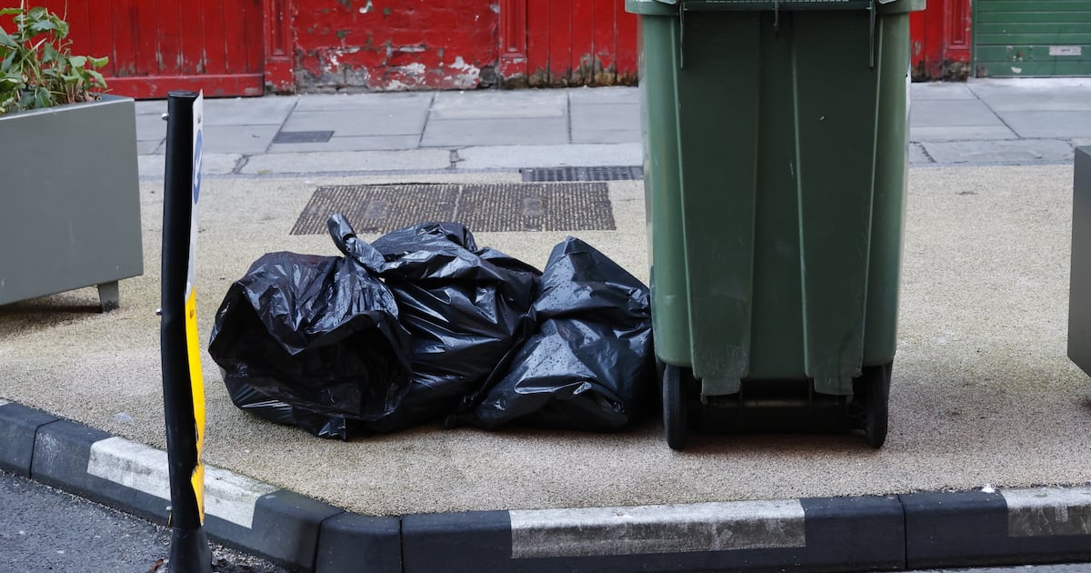 Dublin City Council official ‘sick of people’ saying capital ‘filthy’ – The Irish Times