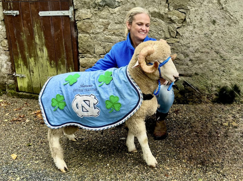 Orla Hogan with her ram Seamus, selected to stand in for the University of North Carolina's mascot, Rameses in this weekend's College Football Classic. Photograph: David Clinch/X