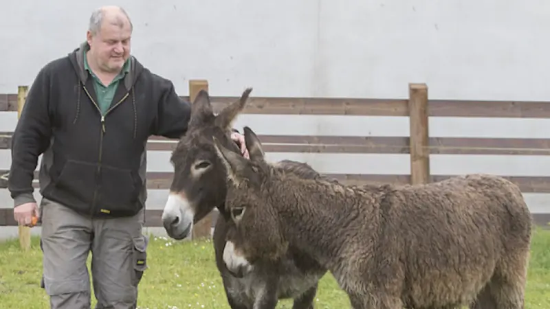 ACL rejects appeal against Donkey Sanctuary expansion plans