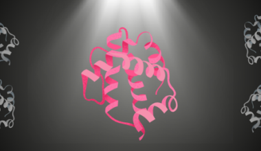 Ancient Lactoferrin Proteins Could Produce New Drugs