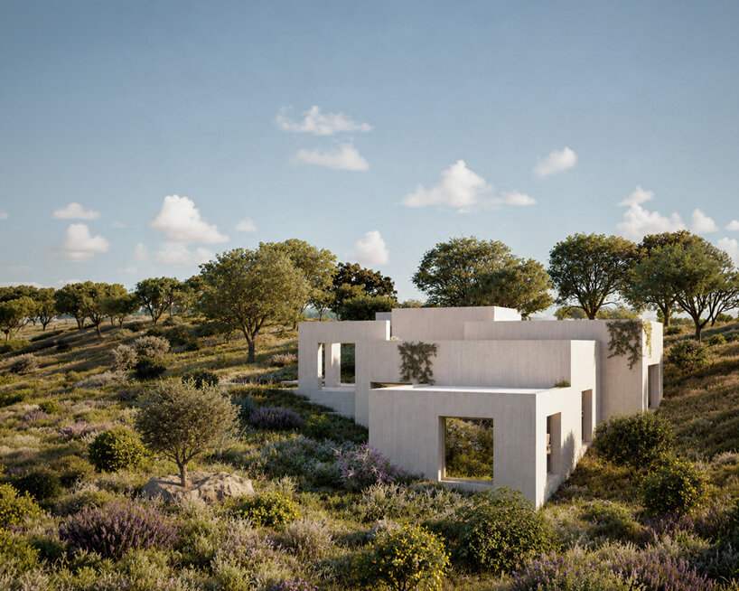 domestic archipelago of nine houses unfolds across portugal’s cork-oak landscape - 6