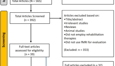 The Efficacy of Therapies for Phantom Limb Pain in Amputees Assessed via Functional Magnetic Resonance Imaging (fMRI) and Electroencephalography (EEG) Measures of Cortical Reorganization: A Scoping Review