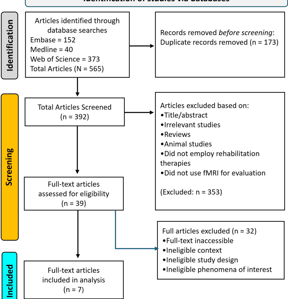 The Efficacy of Therapies for Phantom Limb Pain in Amputees Assessed via Functional Magnetic Resonance Imaging (fMRI) and Electroencephalography (EEG) Measures of Cortical Reorganization: A Scoping Review
