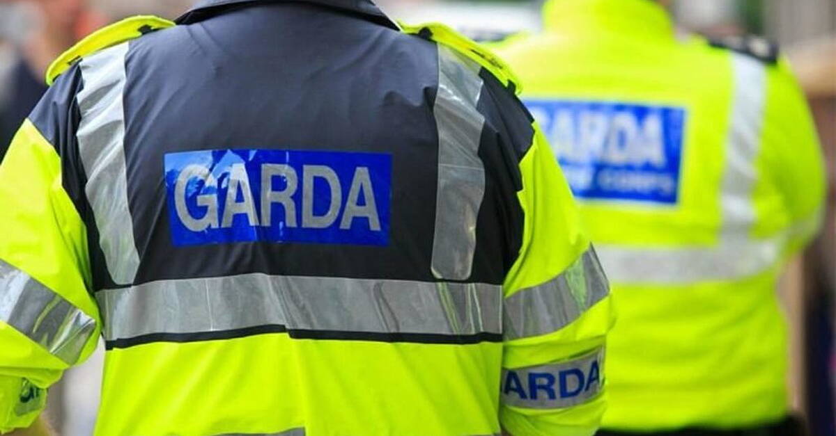 Ballinasloe ‘spiritual healer’ receives suspended prison sentence for sexually assaulting teenager on flight