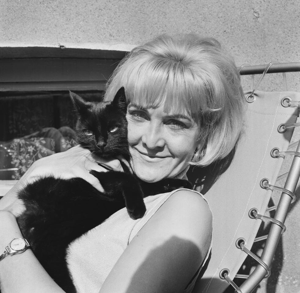 Sheila Hancock And Kitty huty29603 008